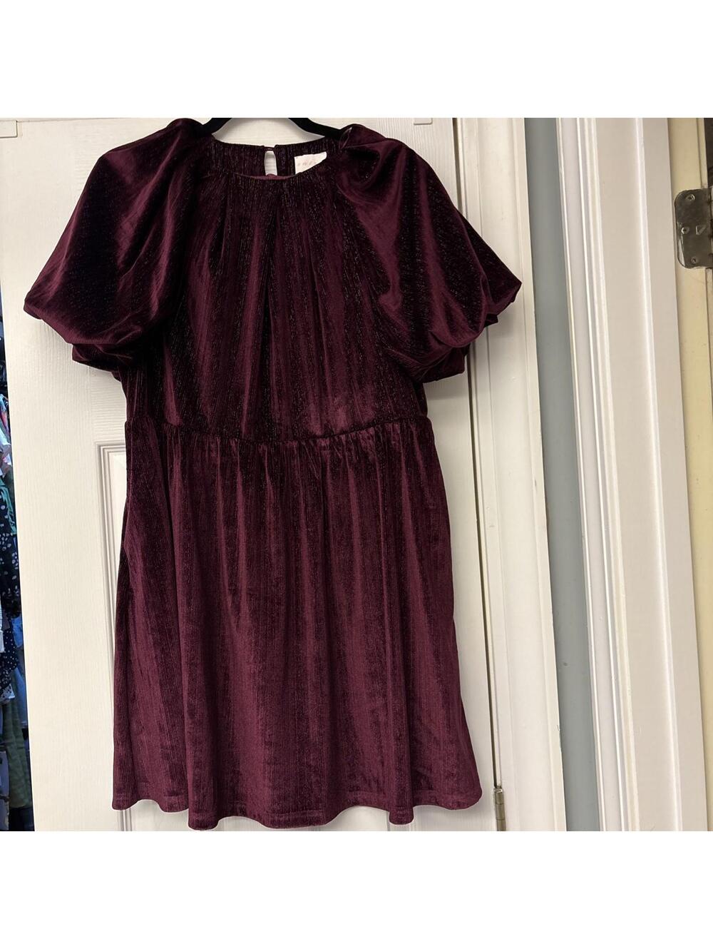 Entro Burgundy Metallic Velvet Puff Sleeve Mini Dress. Medium. Holiday. Pretty